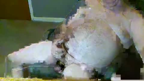 dirtydave52 online show from 03-28-26, 11:10