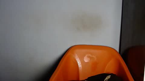 dirtydesirebabe online show from 04-02-26, 02:20