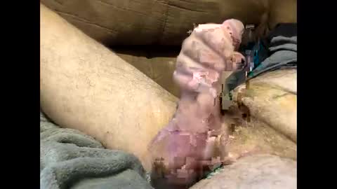 Dirtykurty5000 online show from 09-12-25, 11:43