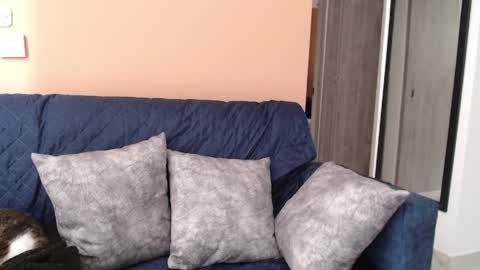 Hera online show from 04-08-26, 12:38