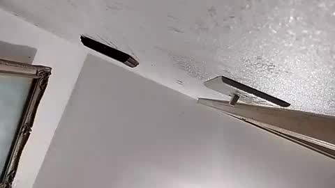 Snapshot of dixonbird41 chatting on 02-11-25, 02:46 dixonbird41 online show from 02-11-25, 02:46