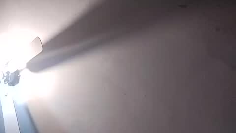 Snapshot of dixonbird41 chatting on 02-25-25, 06:20 dixonbird41 online show from 02-25-25, 06:20