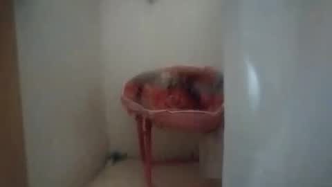 Snapshot of dixonbird41 chatting on 10-06-25, 10:12 dixonbird41 online show from 10-06-25, 10:12