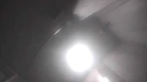 dixonbird41 online show from 04-17-26, 09:45