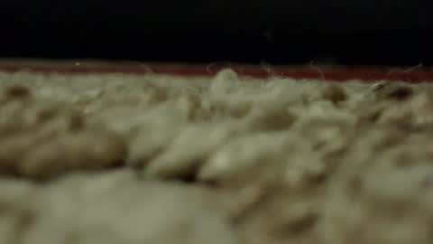 Mmmmgood online show from 02-24-25, 01:57