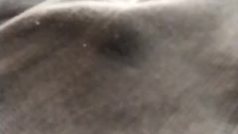 dlov3 online show from 02-08-26, 10:13