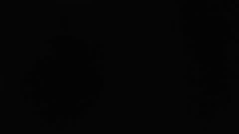 Snapshot of dlt22 chatting on 04-12-26, 10:53 dlt22 online show from 04-12-26, 10:53