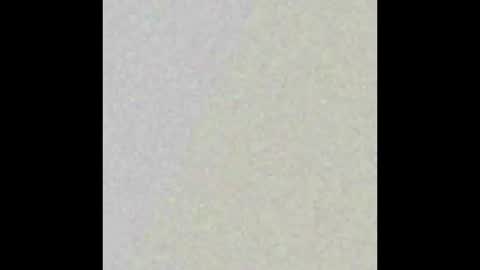 dmtuda11 online show from 03-26-26, 07:47