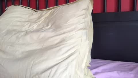 doctor_luv_69 online show from 07-13-26, 03:04