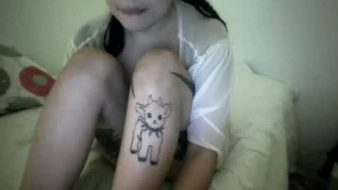 doll_dollys_ online show from 07-17-26, 01:56