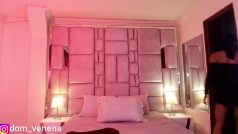 dom_veneno online show from 02-19-26, 05:53