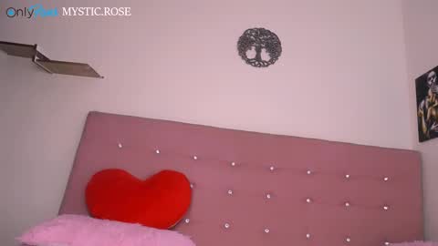 Snapshot of dominika_angel chatting on 12-28-24, 02:54 online show from 12-28-24, 02:54