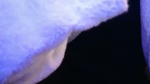 domse999 online show from 02-17-25, 11:34