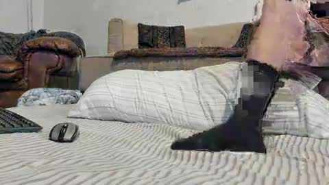 Snapshot of domsxyqte chatting on 01-17-25, 09:17 Rick online show from 01-17-25, 09:17