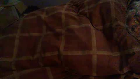 Hello  welcome to Slutsville  I am the Naked Chef  really  but you may call me Peter online show from 02-12-26, 08:53