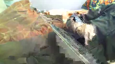 Snapshot of dorsetbiker714 chatting on 04-18-26, 12:20 Hello welcome to Slutsville I am the Naked Chef really but you may call me Peter online show from 04-18-26, 12:20