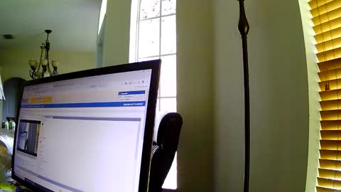 Dragonsita online show from 11-06-25, 07:04