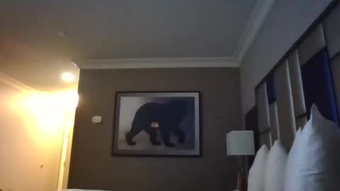 Snapshot of dreadedchefloxxx chatting on 03-03-25, 06:59 DreadedChefLoXXX online show from 03-03-25, 06:59