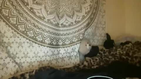 ur dream girl online show from 04-09-26, 02:55