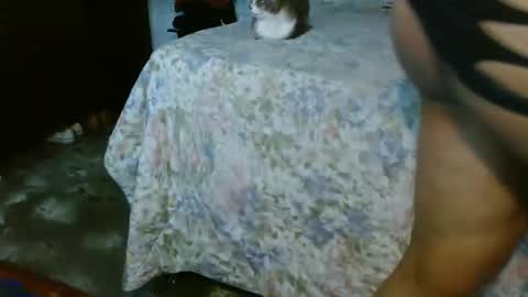 dreamreal online show from 10-31-25, 02:07