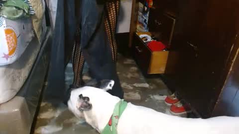 Snapshot of dream_real chatting on 02-08-26, 12:08 dreamreal online show from 02-08-26, 12:08