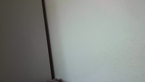 dreammaud333 online show from 02-16-25, 01:27