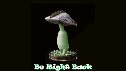 Snapshot of drillhouse_ chatting on 01-28-25, 07:21 Tara Sonny online show from 01-28-25, 07:21