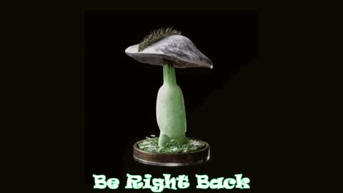 Snapshot of drillhouse_ chatting on 02-20-25, 11:54 Tara Sonny online show from 02-20-25, 11:54