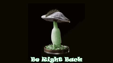 Snapshot of drillhouse_ chatting on 10-02-25, 12:17 Tara Sonny online show from 10-02-25, 12:17