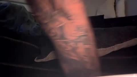 drippinggenie online show from 01-03-25, 11:25