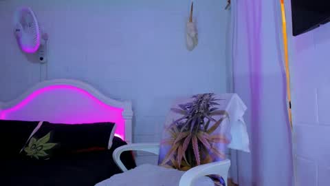 Snapshot of drippyorlove chatting on 09-17-25, 08:21 drippyorlove online show from 09-17-25, 08:21