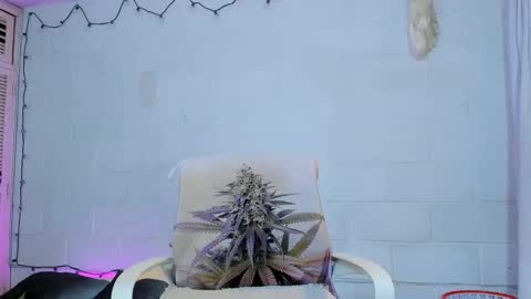 drippyorlove online show from 05-27-26, 02:14