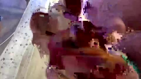 droppingloads82 online show from 02-01-25, 07:15