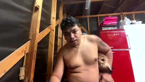 Snapshot of druiz19 chatting on 12-05-24, 01:17 druiz19 online show from 12-05-24, 01:17