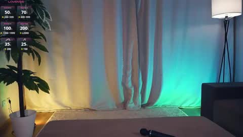 Polly day and Amelia night online show from 02-14-25, 09:13