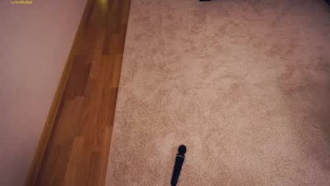 Polly day and Amelia night online show from 03-07-25, 09:29