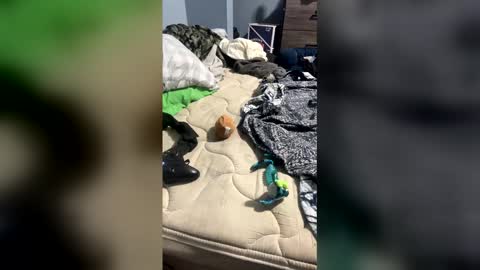 sissyginger online show from 04-03-26, 01:14