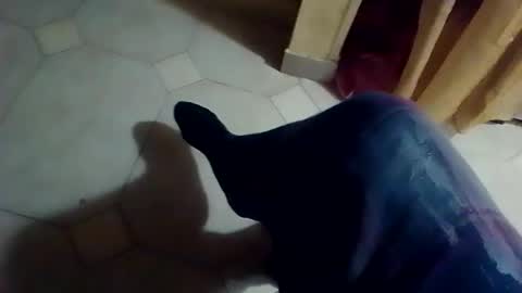 dthedog12 online show from 02-08-26, 01:09