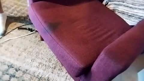 dtrain6969420 online show from 03-07-25, 02:46