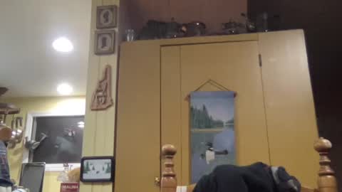 Snapshot of dudeinnh chatting on 10-31-25, 10:49 Steve online show from 10-31-25, 10:49