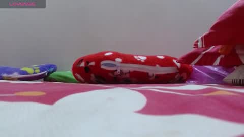 dulce online show from 11-24-25, 02:17