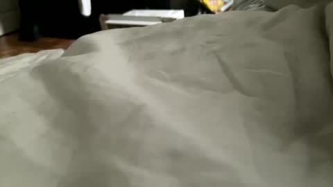 Snapshot of dundiesawards chatting on 11-01-25, 07:16 DundiesAwards online show from 11-01-25, 07:16