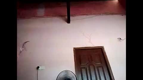 duskytamilkarthik online show from 05-16-26, 05:15