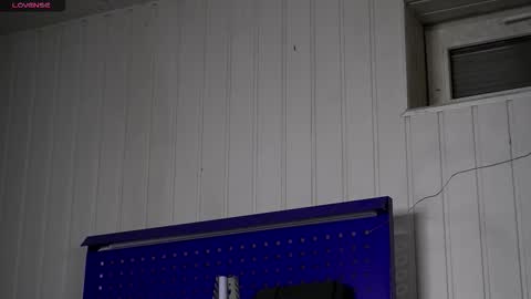 Snapshot of dustyn_fox chatting on 11-21-25, 03:22 Dustyn online show from 11-21-25, 03:22