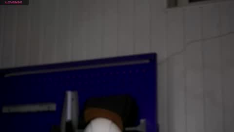 Snapshot of dustyn_fox chatting on 11-23-25, 03:34 Dustyn online show from 11-23-25, 03:34