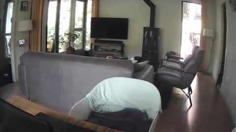 dutchsmooth online show from 09-10-25, 09:42