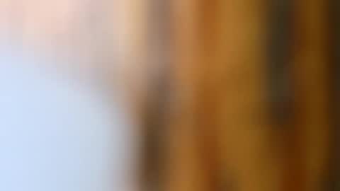 Snapshot of dvelope chatting on 10-14-25, 09:21 dVe1oPe online show from 10-14-25, 09:21