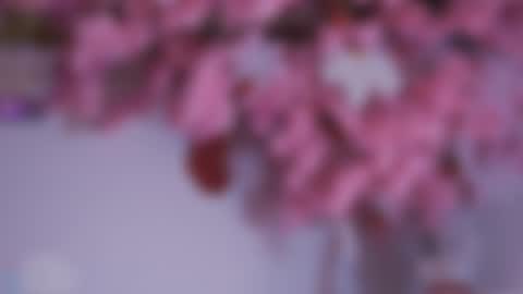 Dwayne xx online show from 12-15-24, 08:47