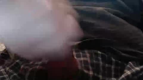 eat_a_peach2 online show from 04-02-26, 10:35