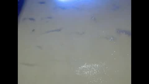 Snapshot of eatuupx chatting on 12-05-25, 09:18 eatuupx online show from 12-05-25, 09:18